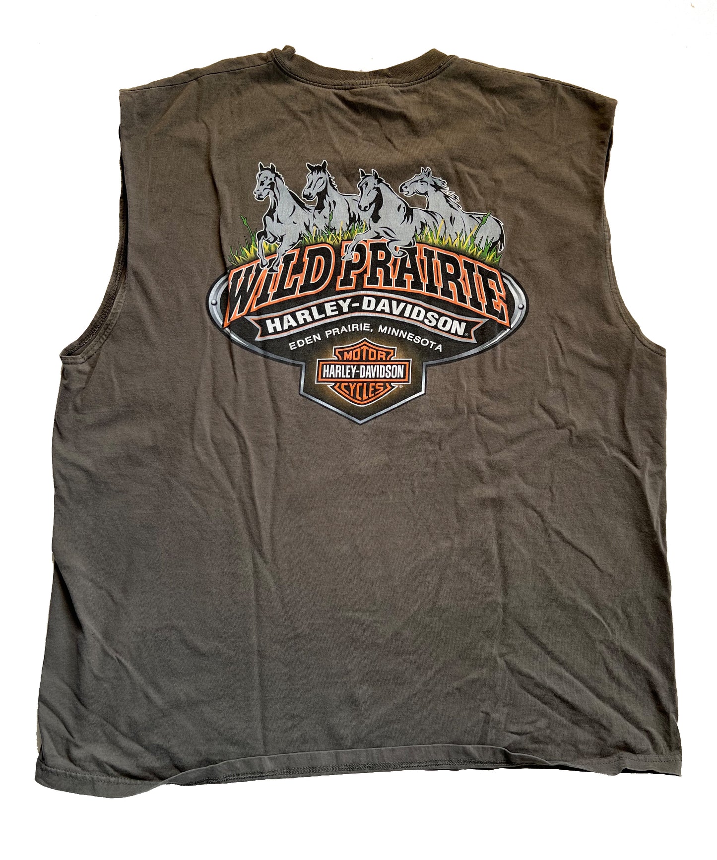 Harley Davidson Wild Prairie Tank (2X)