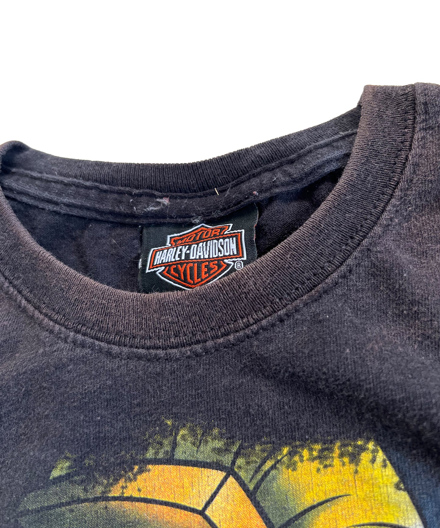 Vintage Harley Davidson Looney Tunes Tee (Small)