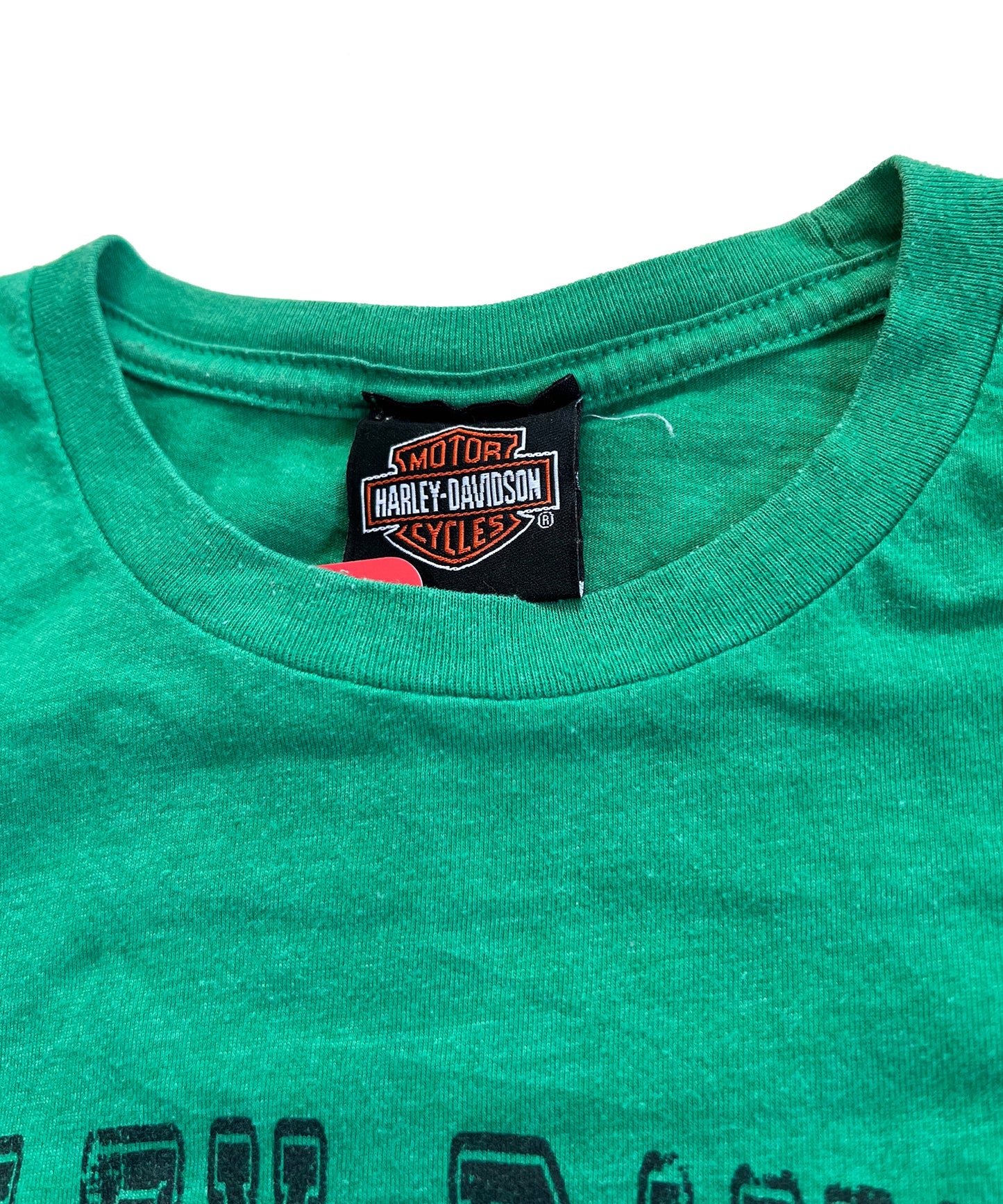 Harley Davidson White Mountain Tee (Large)