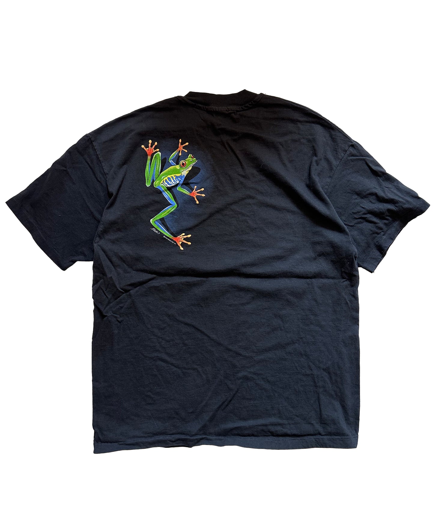 Vintage Frog Tee (XL)