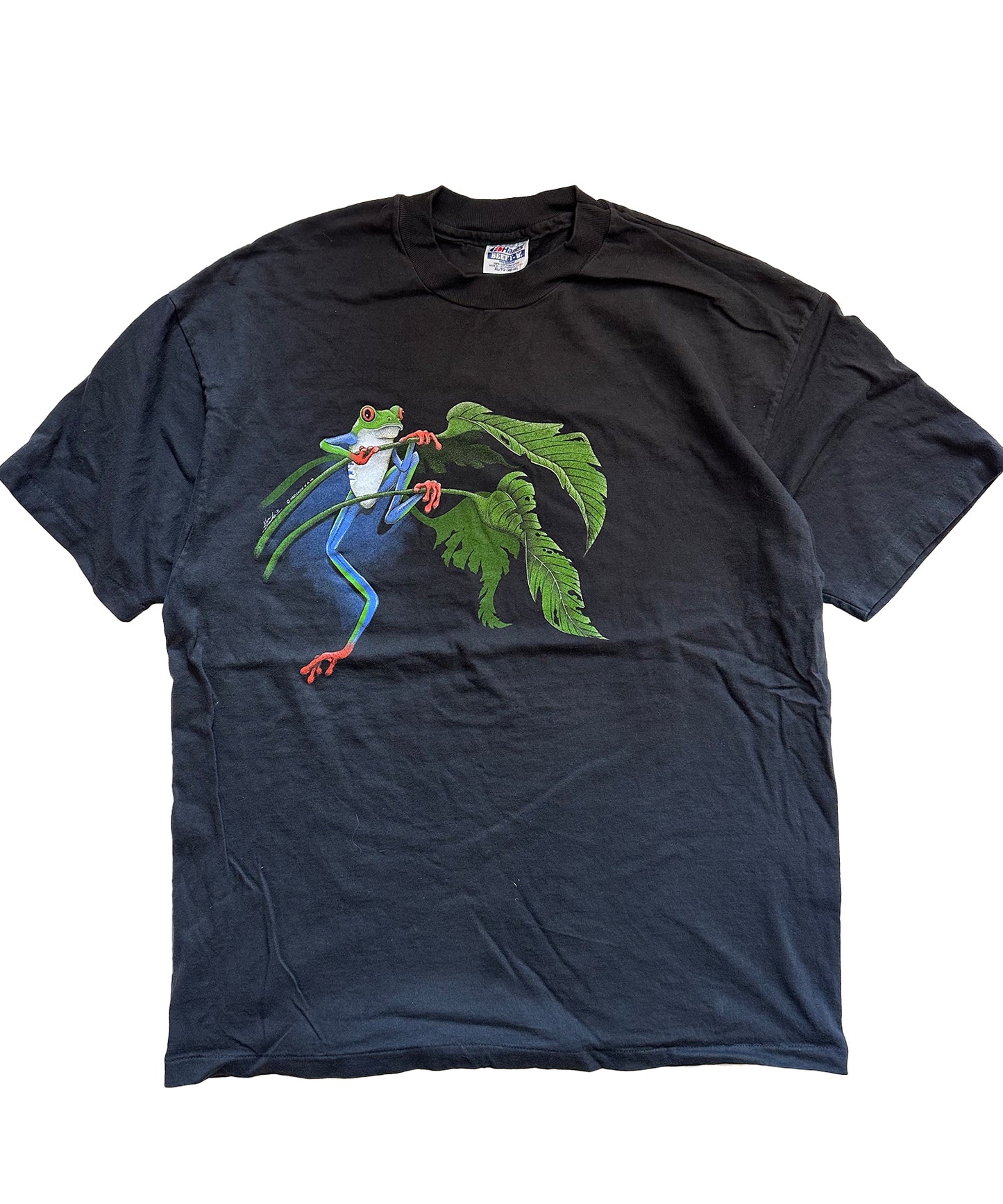Vintage Frog Tee (XL)