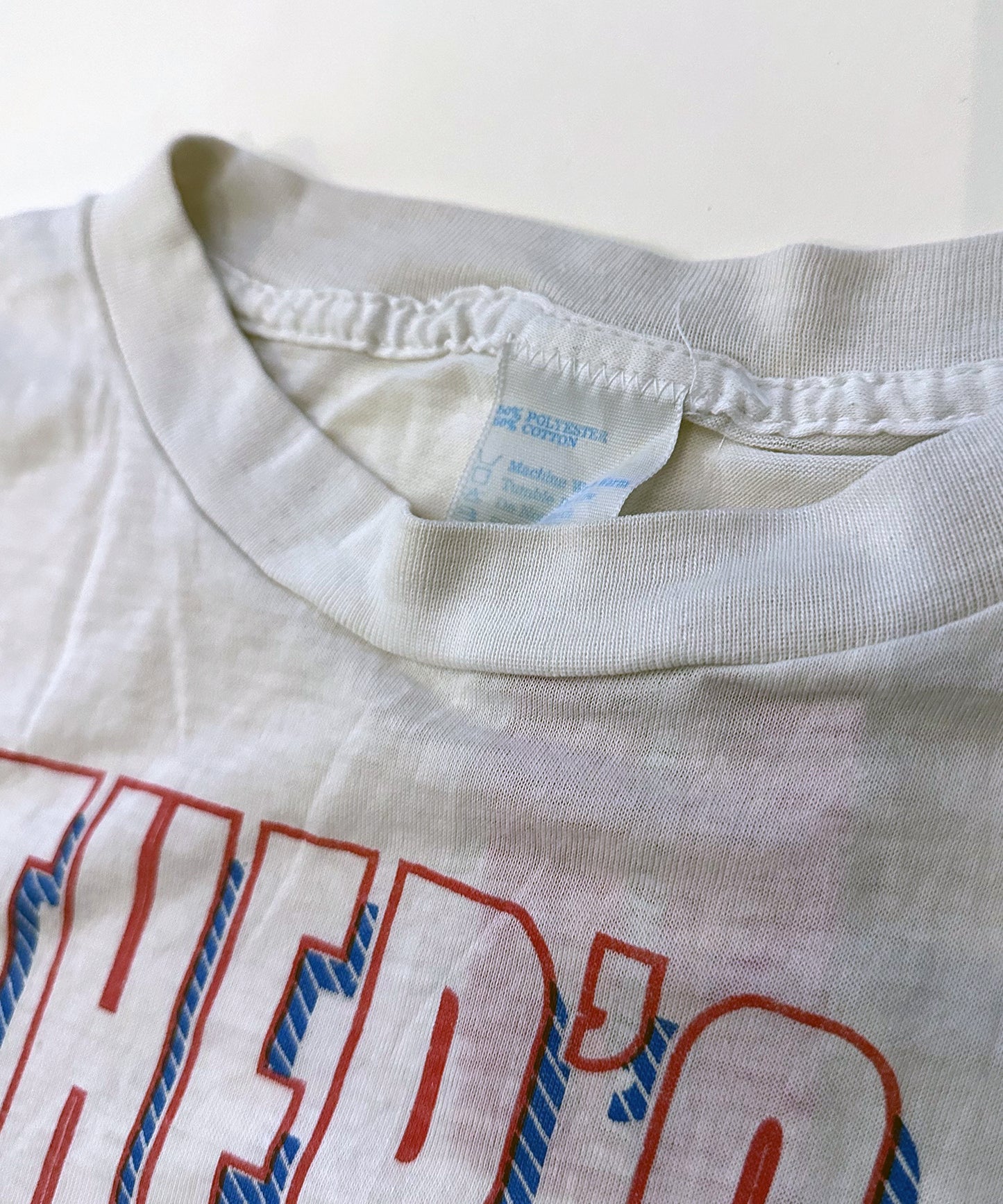Vintage 1990 Taz Tee (Large/XL)
