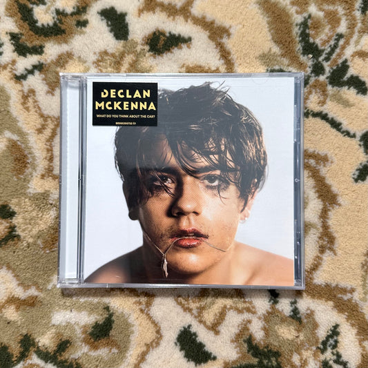 Declan McKenna - WHAT DO YOU THINK ABOUT THE CAR? [CD]