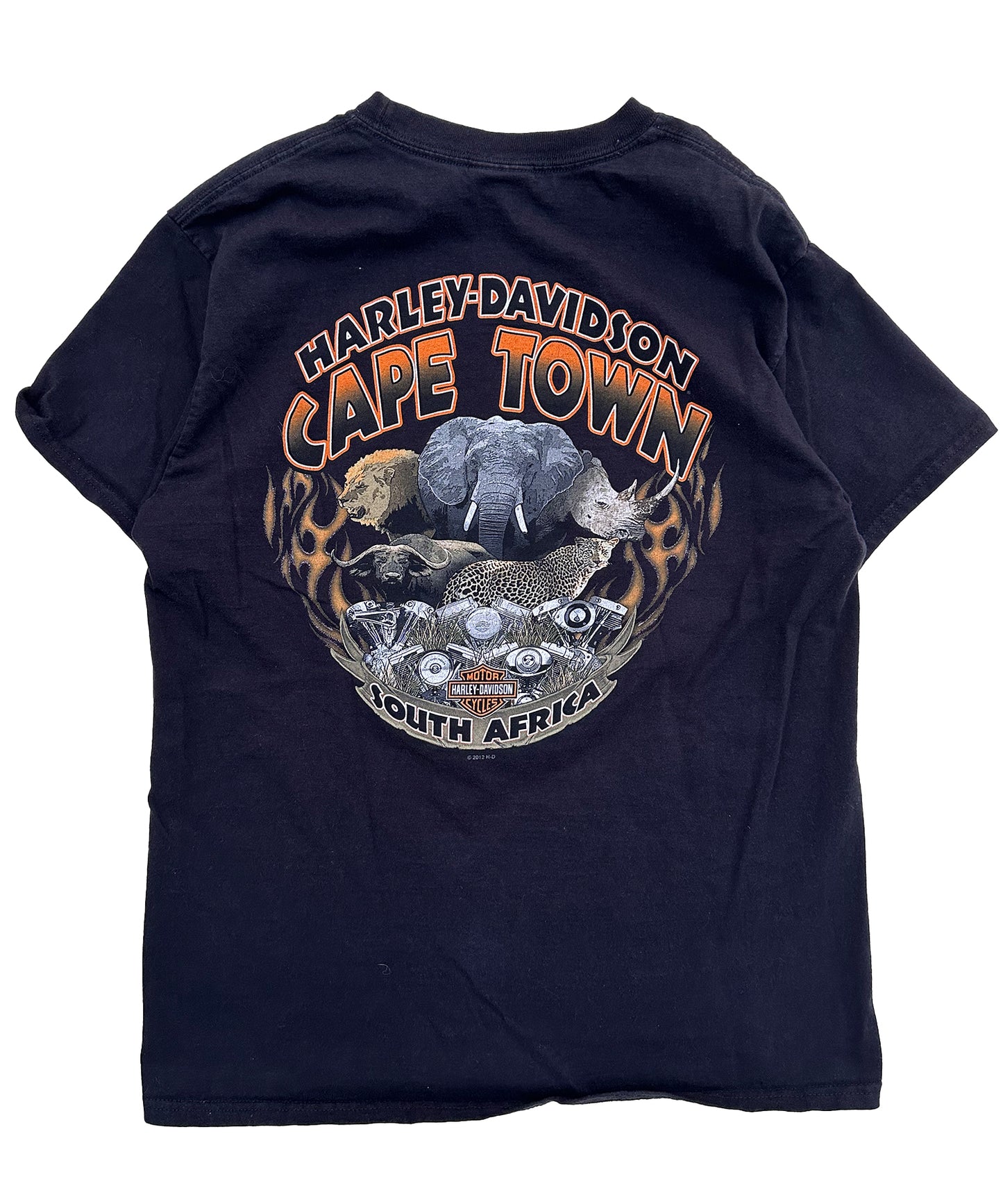 Cape Town Harley Davidson Tee (Medium)